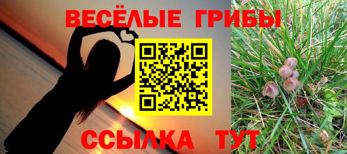 Галлюциногенные грибы Psilocybe  Галлюциногенные грибы мицелий  Вход с VPN  Нерюнгри 