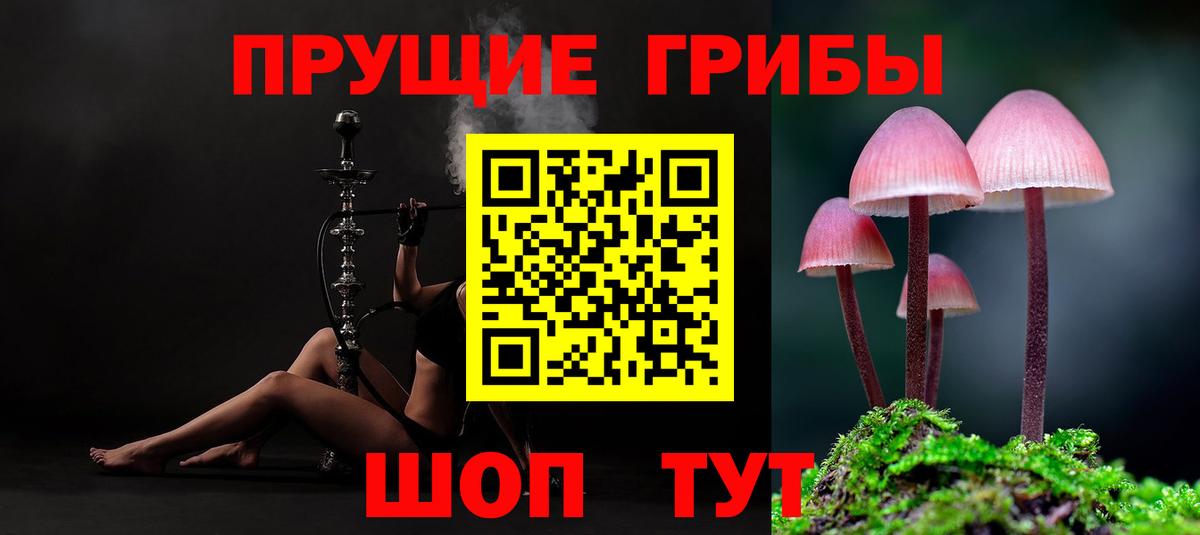 Псилоцибиновые грибы ЛСД Нерюнгри